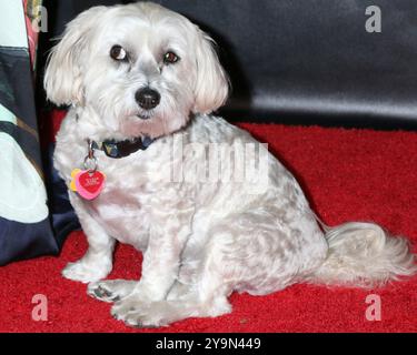 Woodside, USA. Oktober 2024. Bild links nach rechts: Pip at the Bring Change 2 Mind's 12th Annual Revels and Revelations. Quelle: Kathy Hutchins / Alamy Live News Stockfoto