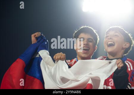 Santiago, Chile. Oktober 2024. CHILE - SANTIAGO - 10/10/2024 - 2026 WM-QUALIFIKATION, CHILE x BRASILIEN - Fans während des Spiels zwischen Chile und Brasilien im Nationalstadion für die WM-Qualifikation 2026. Foto: Gil Gomes/AGIF (Foto: Gil Gomes/AGIF/SIPA USA) Credit: SIPA USA/Alamy Live News Stockfoto