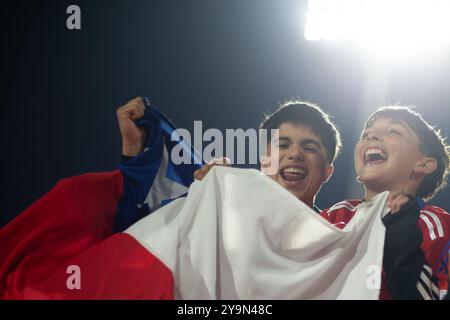 Santiago, Chile. Oktober 2024. CHILE - SANTIAGO - 10/10/2024 - 2026 WM-QUALIFIKATION, CHILE x BRASILIEN - Fans während des Spiels zwischen Chile und Brasilien im Nationalstadion für die WM-Qualifikation 2026. Foto: Gil Gomes/AGIF (Foto: Gil Gomes/AGIF/SIPA USA) Credit: SIPA USA/Alamy Live News Stockfoto