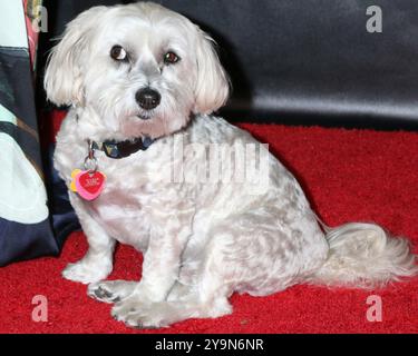 PIP at Arrivals for Bring Change 2 Mind s 12th Annual Revels + Revelations, Woodside, CA, 10. Oktober, 2024. Foto: Priscilla Grant/Everett Collection Stockfoto