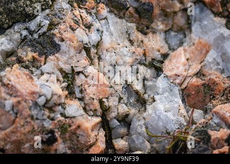 Rosa Feldspat und grauer Quarz Stockfoto