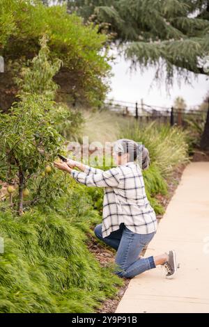 Frau kniet vor dem Baum Stockfoto