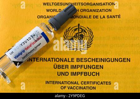 Berlin, Deutschland. Oktober 2024. Eine Spritze liegt auf einem Impfzertifikat mit dem Aufdruck „International Certificates on Vaccinations and Vaccine book“. Quelle: Jens Kalaene/dpa/Alamy Live News Stockfoto