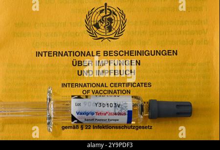 Berlin, Deutschland. Oktober 2024. Eine Spritze liegt auf einem Impfzertifikat mit dem Aufdruck „International Certificates on Vaccinations and Vaccine book“. Quelle: Jens Kalaene/dpa/Alamy Live News Stockfoto