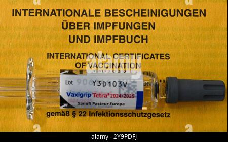 Berlin, Deutschland. Oktober 2024. Eine Spritze liegt auf einem Impfzertifikat mit dem Aufdruck „International Certificates on Vaccinations and Vaccine book“. Quelle: Jens Kalaene/dpa/Alamy Live News Stockfoto