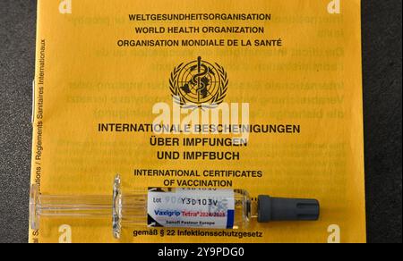 Berlin, Deutschland. Oktober 2024. Eine Spritze liegt auf einem Impfzertifikat mit dem Aufdruck „International Certificates on Vaccinations and Vaccine book“. Quelle: Jens Kalaene/dpa/Alamy Live News Stockfoto