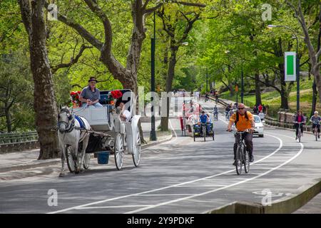 Kutschfahrten und Fahrradverkehr im Central Park New York Stockfoto