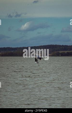 Flügelreiter, der im See reitet. Stockfoto