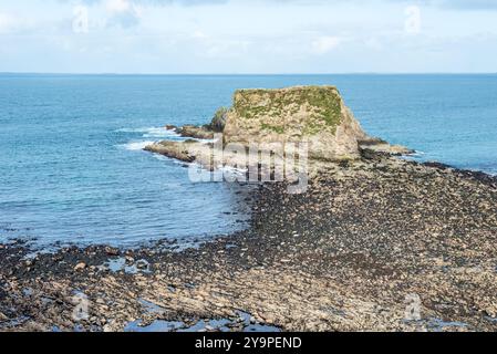 Blick auf Cleet of Brough Rocks, Brough Bay, Brough Village, Caithness, Schottland, Vereinigtes Königreich. Siegelkollegen im Vordergrund. Stockfoto