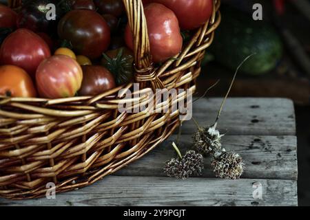 Bunte reife Tomaten in einem gelben Korb Stockfoto