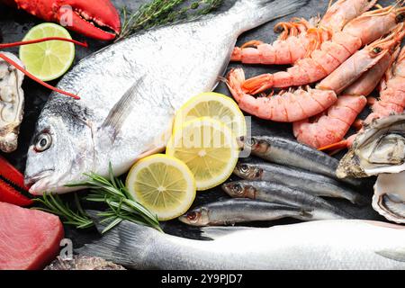 Frischer Fisch und verschiedene Meeresfrüchte auf dem Tisch, Blick von oben Stockfoto