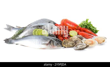 Frischer Fisch und verschiedene Meeresfrüchte isoliert auf weiß Stockfoto