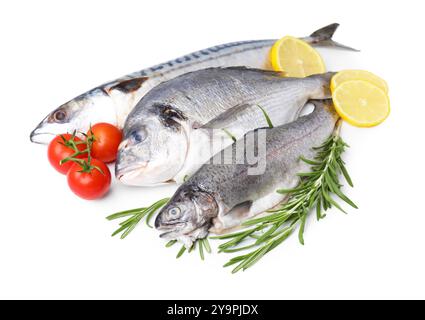 Meeresfrüchte. Verschiedene Arten von frischem Fisch mit Zitronen, Rosmarin und Tomaten isoliert auf weiß Stockfoto