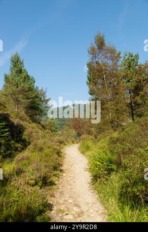 Der West Highland Way Wanderweg in der Nähe von Tyndrum, Perthshire, Schottland Stockfoto