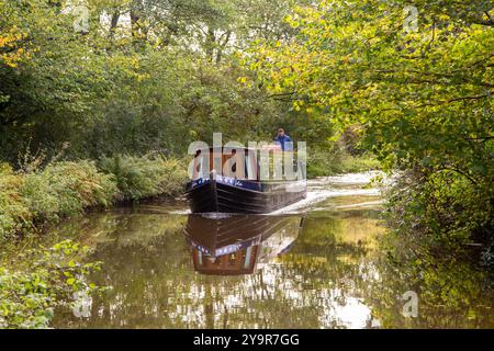 Mann auf einem Kanalschmalboot auf dem Caldon-Kanal, als er durch die Landschaft von Staffordshire in der Nähe von Cheddleton fährt Stockfoto