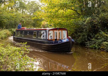 Mann auf einem Kanalschmalboot auf dem Caldon-Kanal, als er durch die Landschaft von Staffordshire in der Nähe von Cheddleton fährt Stockfoto