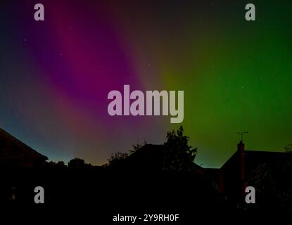 Grüne und lila Farbtöne von Northern Lights beleuchten den Nachthimmel mit Silhouettenbäumen und Häuserdächern in einem Vorstadtgebiet von York. UK Stockfoto
