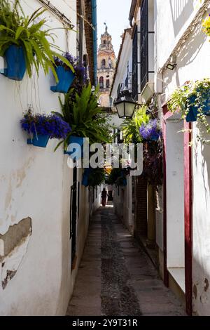 Die berühmte Calle de las Flores in Cordoba, Spanien Stockfoto