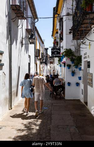 Kleine Straße mit typisch andalusischen Häusern im historischen Zentrum von Cordoba, Spanien Stockfoto