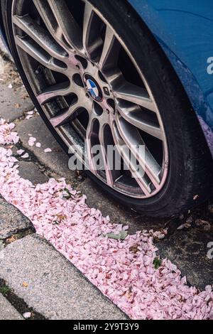 Nahaufnahme eines BMW-Autorads auf dem Bürgersteig mit rosa Blumenblättern, Auto- und Naturkontrast-Konzept. Warschau, Polen - 19. Mai 2024 Stockfoto