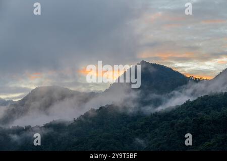 Mindo Nebelwald Sonnenaufgang und Vogelbeobachtungsstunde, Quito Region, Ecuador. Stockfoto