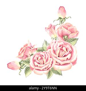 Blüten von Rosen mit Knospen und grünen Blättern. Blumenstrauß im Frühling. Handgezeichnete Aquarellillustration isoliert. Sommerrahmenecke. Vorlage Stockfoto