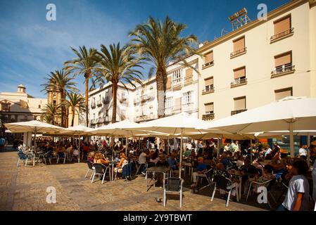 Cadiz, Spanien/6. Oktober 2024: Von Palmen gesäumte Straße mit Cafés mit Touristen und Einheimischen, die auf dem Domplatz essen und trinken Stockfoto