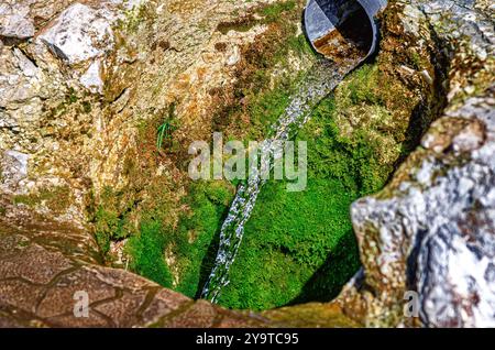 Kristallklares Quellwasser fließt aus eisernem Rohr zwischen Steinen mit grünem Moos. Frühling im Wald. Stockfoto