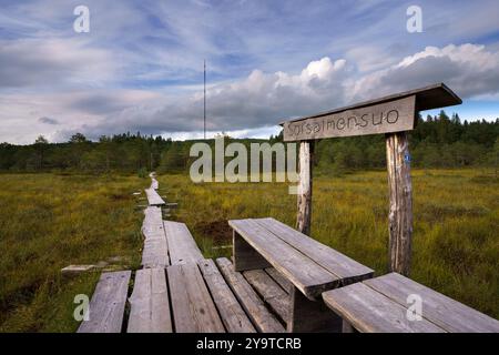 Holzsteg führt durch den Soisalmensuo-Sumpf in Hollola, Finnland, unter bewölktem Himmel Stockfoto