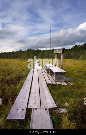 Holzsteg führt durch den Soisalmensuo-Sumpf in Hollola, Finnland, unter bewölktem Himmel Stockfoto