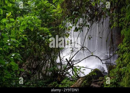 Nyakasura Water Falls - Fort Portal - Uganda Stockfoto