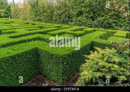 Kapias-Gärten, Goczałkowice Zdroj, Schlesien, Polen; 29. September, 2024: Gartenkunst – das Labyrinth aus Thuja-Bäumen in den Kapias-Gärten Stockfoto