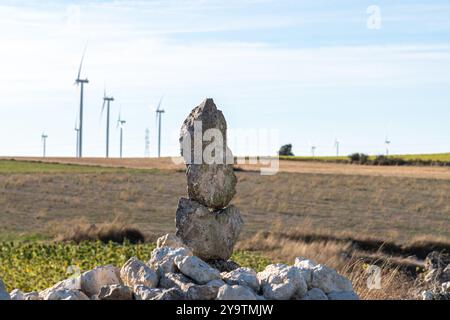 Steinmonolith des Jakobsweges in einer Sonnenblumenplantage mit Windmühlen in der Provinz Burgos in Kastilien und Leon in Spanien. Stockfoto