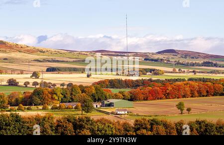 Die Herbstsonne schafft wunderschöne Landschaften der umliegenden Dundee-Landschaft, einschließlich Strathmore Valley und den Sidlaw Hills in Schottland Stockfoto