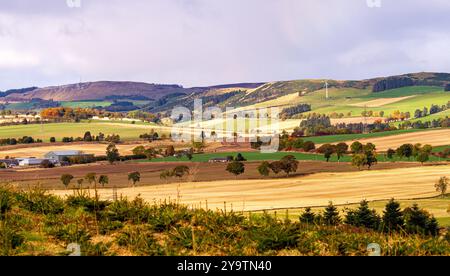 Die Herbstsonne schafft wunderschöne Landschaften der umliegenden Dundee-Landschaft, einschließlich Strathmore Valley und den Sidlaw Hills in Schottland Stockfoto