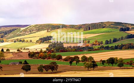 Die Herbstsonne schafft wunderschöne Landschaften der umliegenden Dundee-Landschaft, einschließlich Strathmore Valley und den Sidlaw Hills in Schottland Stockfoto