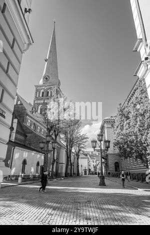 St. James Katholische Kathedrale Von Riga Stockfoto