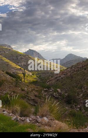 Vertikale Landschaft der Catalina Mountain Range im Norden von Tucson, vom Mt Lemmon vista Point entlang des malerischen Catalina Highway aus gesehen Stockfoto