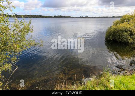 Der See im Chasewater Country Park, Burntwood, Cannock Chase, Staffordshire, England, UK Stockfoto