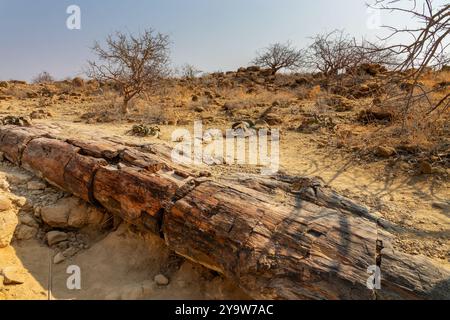 Twyfelfontain, Damaraland, Namibia, Afrika Stockfoto