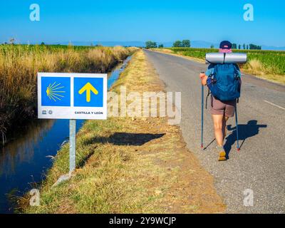 Ein Pilger auf einer Landstraße auf dem Jakobsweg, vorbei an einem Wegweiser mit der berühmten gelben Jakobsmuschel und dem gelben Pfeil. Stockfoto