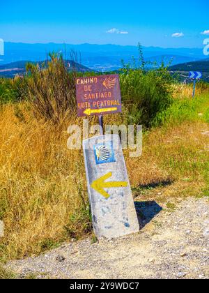 Gelbe Jakobsmuschel und gelber Pfeil, Symbole des Jakobsweges. Spanien. Stockfoto