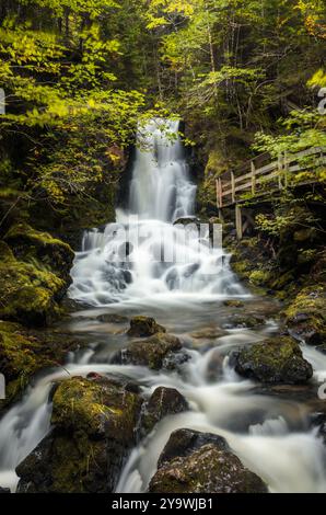 Blick auf die Dickson Falls im Fundy-Nationalpark, Kanada, im Herbst Stockfoto