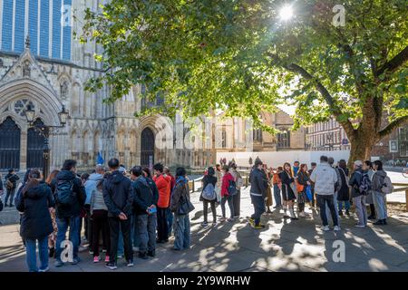 Ausländer versammeln sich am sonnigen Herbstmorgen vor dem York Minster unter dem Schatten eines Baumes. Stockfoto