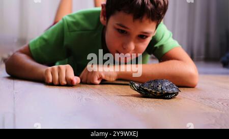 Ein kleiner Junge liegt auf dem Boden und beobachtet eine kleine Schildkröte, wie sie sich langsam bewegt. Dieses Bild zeigt einen Moment der Faszination und Verbindung zwischen Stockfoto