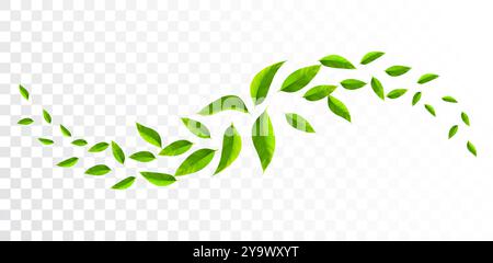 Frische Minze hinterlässt Wellen. Frischeeffekt. Grüne Blätter. Fliegendes Laub. Veganes, ökologisches, naturbelassenes Design. Stock Vektor