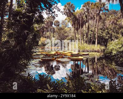 Bok Tower Gardens, Lake Wales, Florida, USA Stockfoto