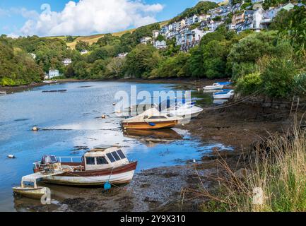 Historischer Passagierdampfzug Kingswear, Devon, Großbritannien. Der Zug ist erhalten geblieben und wird heute zur Beförderung von Fahrgästen entlang der berühmten Touristenlinie genutzt Stockfoto