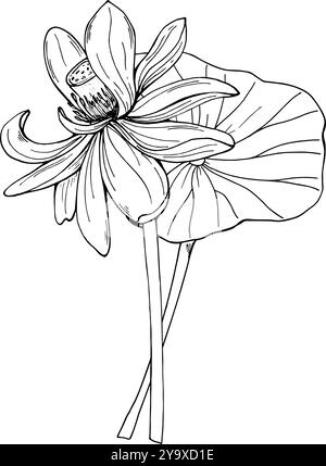 Tropische Aqua Pflanze Blumenstrauß Vektor Illustration gemalt von schwarzen Tinten. Lotus- oder Seerosenblüte am Stiel von Hand gezeichnete Ätzzeichnung Komposition Stock Vektor