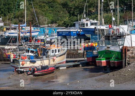 Wadebridge, eine hübsche Stadt in Cornwall, England, überquert den Fluss, um beide Seiten miteinander zu verbinden Stockfoto